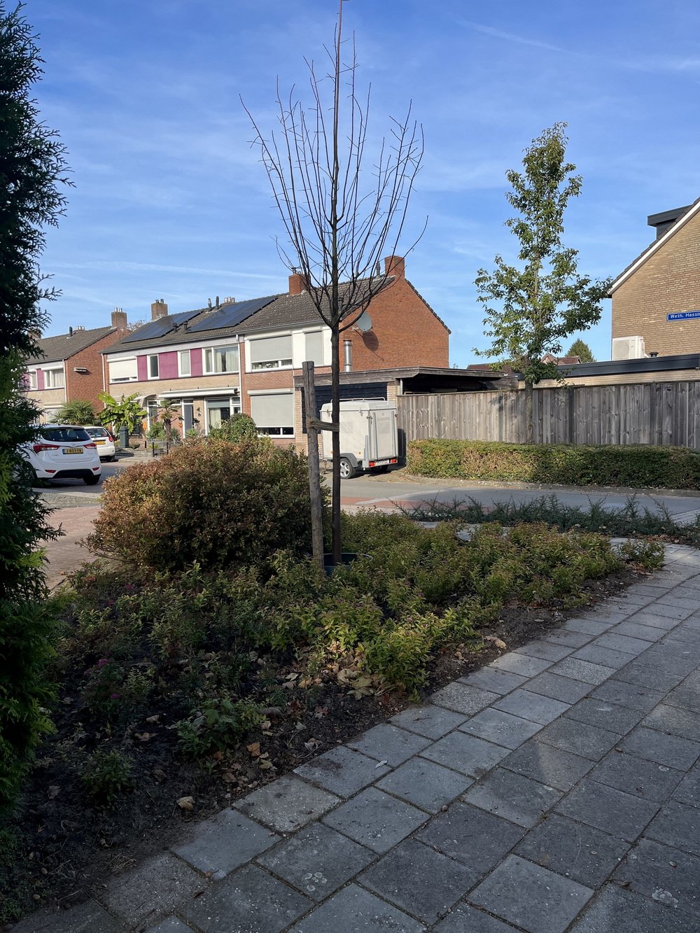 wethouder hassingstraat na het tegelwippen